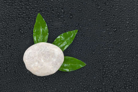 White stone with leaves lying on a black backgroundの写真素材