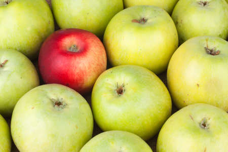 Red apple among green apples lying on sackcloth, as backgroundの写真素材