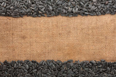 sunflower seeds  were lying on sackcloth, with space for textの写真素材