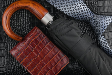 
A necktie, wallet, umbrella  lying on the skin, can be used as backgroundの写真素材