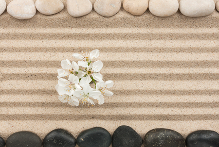 Flowers on the sand between the stones, can be used as backgroundの写真素材