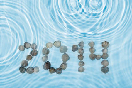 The inscription 2014 made %u200B%u200Bseashells in waterの写真素材