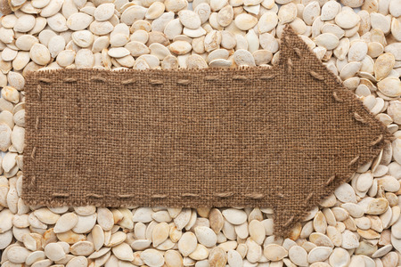 Pointer of  burlap lies on sunflower seeds, with place for your textの写真素材