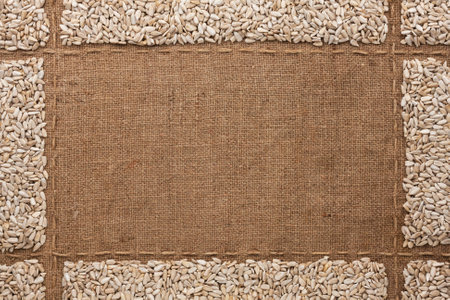 Beautiful frame with sunflower seeds on sackcloth, with place for your text, graphicsの写真素材