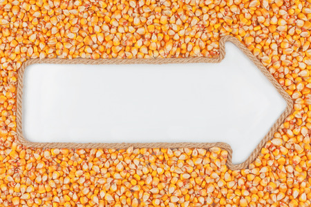 Arrow made of rope with corn  with a white background  and with place for your text