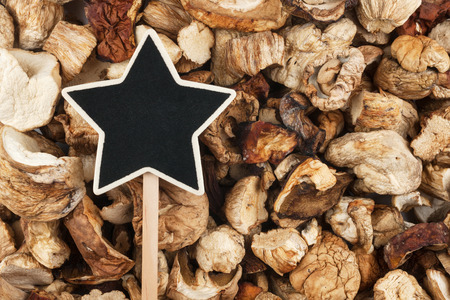 Pointer, the sign  lies on dried  mushroom,  with space for your textの写真素材