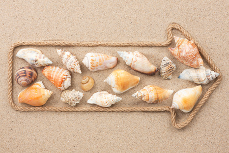 Pointer made of rope with sea shells, lying on the sandの写真素材