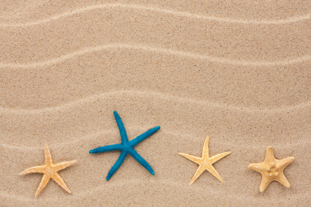 Starfish lie on the sand, can be used as backgroundの写真素材