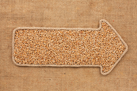 Pointer made from rope with grain wheat  lying on sackcloth, with space for your text