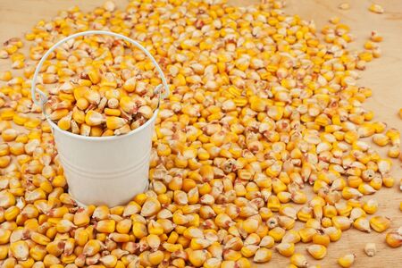White bucket with corn on the wooden floor, as a backgroundの写真素材