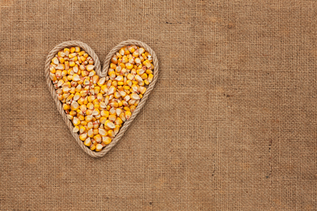 Heart made from rope with corn grains  lying on sackcloth, with space for textの写真素材