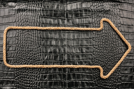 Pointer made of rope lying on the crocodile skin, with space for your textの写真素材