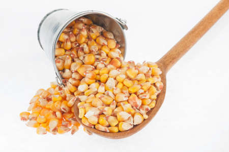 Bucket of corn crumbles in the a wooden spoon, on a white backgroundの写真素材
