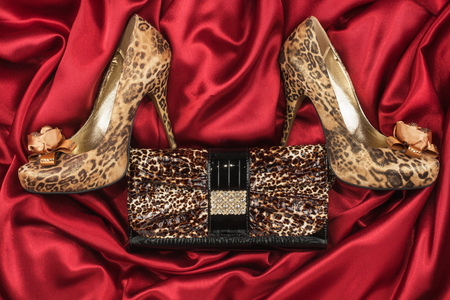 Leopard shoes and purse lying on the red satin, top viewの写真素材