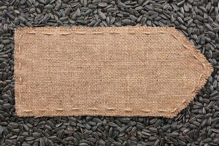 Pointer of burlap lying on a sunflower seeds background, with place for your textの写真素材
