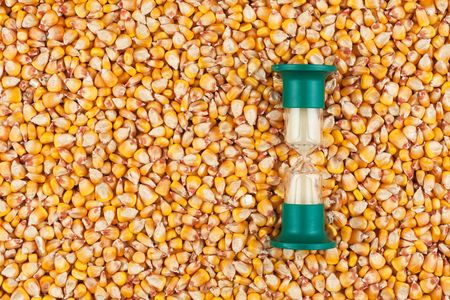 Hourglass and the grain of corn, a conceptual time and food