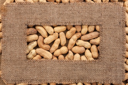 Frame made of rough burlap lies on peanuts, as background