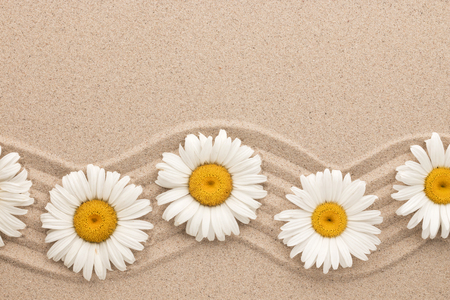 Frame of white daisies on wavy sand. Beautiful foto. View from aboveの写真素材