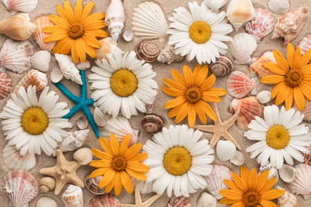 Beautiful background of chamomiles, sea shells, sea stars on the sand. View from aboveの写真素材