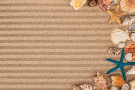 Frame made of starfish and shells lying on the striped sand. copy space. Top view.