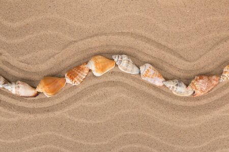 Line made of seashells lying zigzag on the dunes. Top view. Copy space.