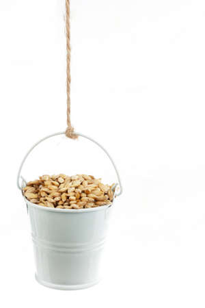 A full bucket of barley grains hanging from a rope. White backgroundの写真素材