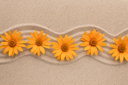 Zigzag from yellow daisies. Beauty in nature. Top view. Summer concept. Space for text.の写真素材