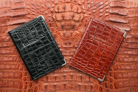 Two passports lying on the brown crocodile skin. Travel. Top viewの写真素材