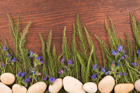 Blue wildflowers and white stones on dark wooden board. Top view. Flower backgroundの写真素材