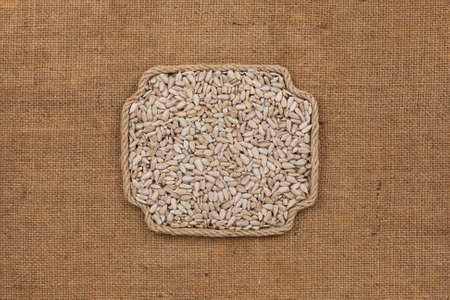 Frame made of rope with a whole, purified sunflower grain. With space for design, text place. Top viewの写真素材