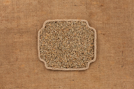 Frame made of rope with a whole, ripe rye grain. With space for design, text place. Top viewの写真素材