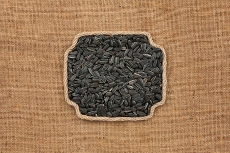 Frame made of rope with a whole, ripe sunflower grain. With space for design, text place. Top viewの写真素材