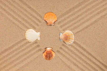 Seashells lying on lines made of sand. Beach background. Top viewの写真素材