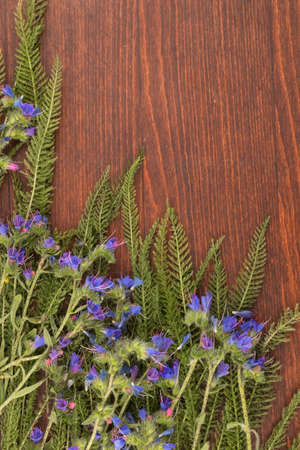 Wildflowers lying on a dark wooden surface. Top view. With space for design, text place.の写真素材