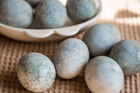 ?olored eggs for Easter. Beautiful light blue eggs. Easter background.の写真素材