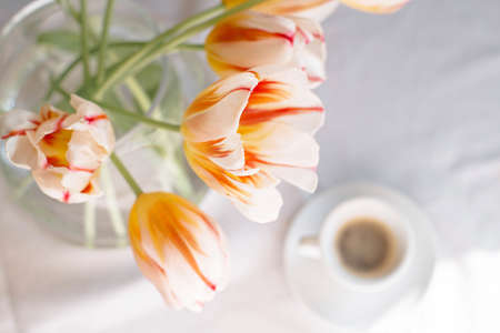 Beautiful bouquet of stripped white and red tulips and two cups of coffee on the table. Top view.の写真素材