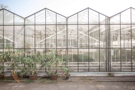 Glass greenhouse in the Botanial garden. Outdoor view. Belarus, Minsk.の写真素材