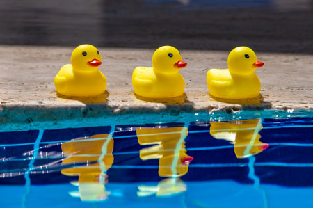Summer season, the concept of a friends team or family vacation. three yellow rubber ducks near the swimming pool togetherの写真素材