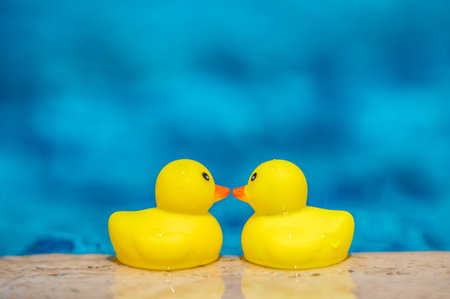couple ducks seen face to face near swimming pool by sunny summer day. Romantic vacation love...