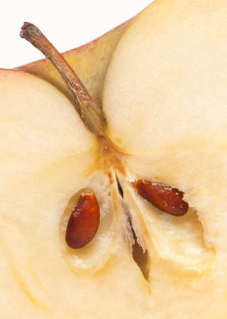 two seeds to cut appleの写真素材
