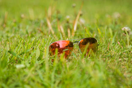 sunglasses closeup on a green lawn.の写真素材