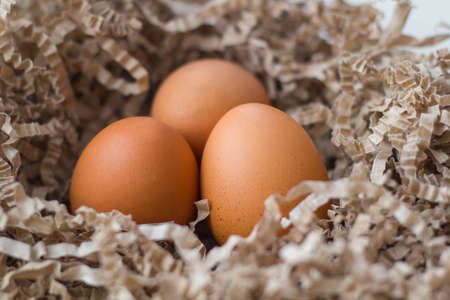 Three chicken eggs in cardboard sawdust.