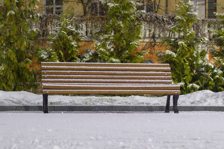 lonely bench covered with snow.