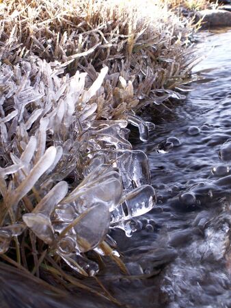 frozen grass near streamの写真素材