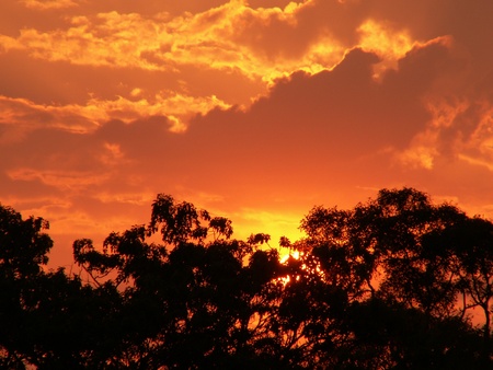 orange sunset in african forrestの写真素材