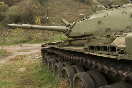 Kind on the tank  Sharpness on the trunk endの写真素材