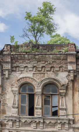Abandoned building of the 19th century with the growing trees on the roofの写真素材