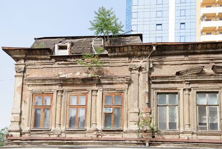 Ancient house with seedling trees