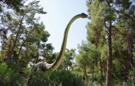 Kemer;Turkey-August 14; 2017: Brachiosaurus-Late Jurassic period /156-145 million years ago. In the Dinopark の写真素材