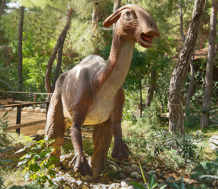 Kemer;Turkey- September 06; 2017:  Parasaurolophus-Late Cretaceous /76-65 million years ago. In the Dinoparkのeditorial素材